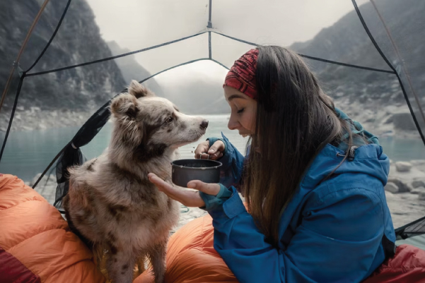 Camping With Dog in Alaska