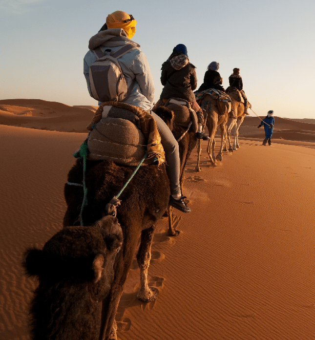 Riding Camels