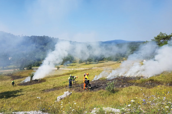 Wildfire Cleanup