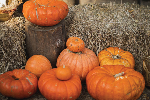 hay bundles and pumpkins