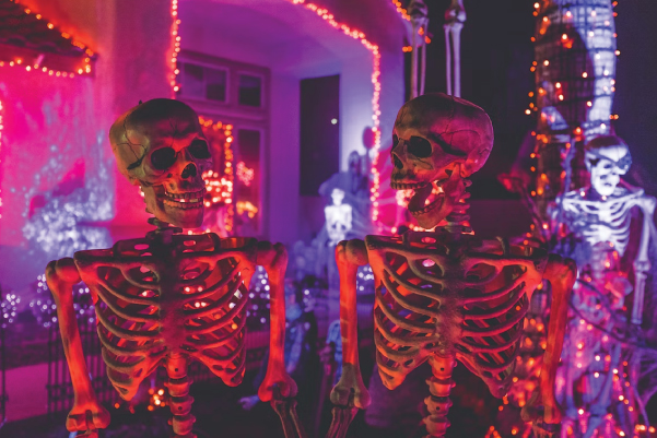 halloween skeletons