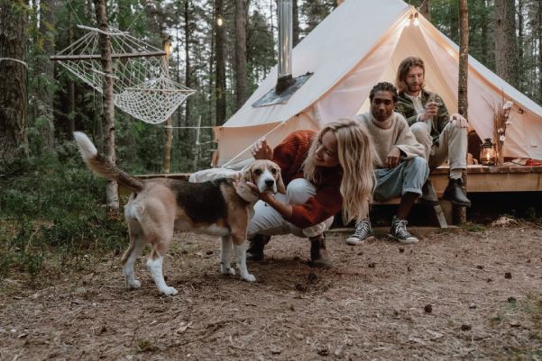 Camping with a Dog